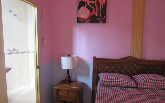 Hostal Zocalo - Hostel