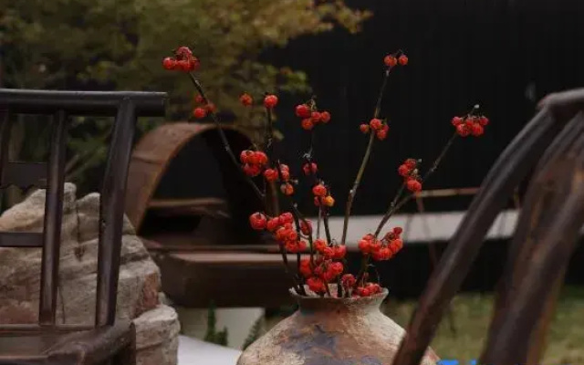 Zaihui Courtyard · Shiyang Life Tea Space Homestay