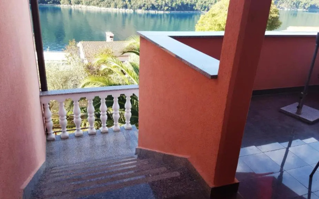 Apartments Alenka