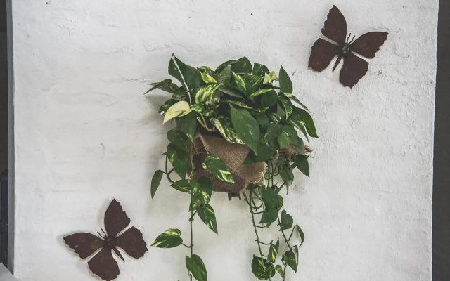 Posada Mendoza By Dot Tradition