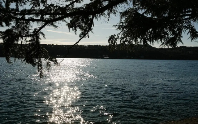 Alma - Near Lake in Sal
