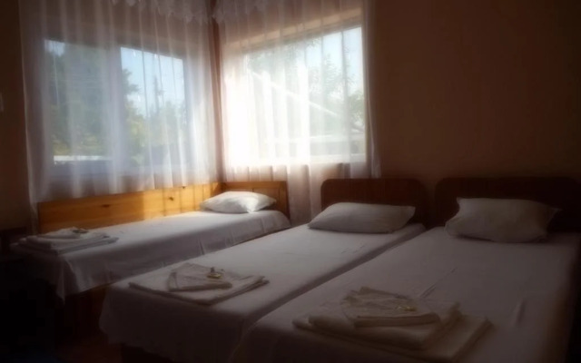 Guest House Borisov