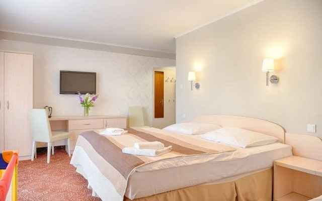 Dom Kuracyjny Hotel Messa
