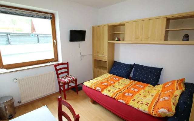 Elite Mansion in Hermagor-pressegger See With Garden