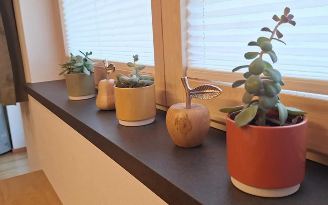 Apartment Wechselberger Tobias