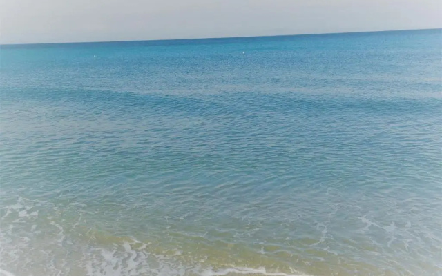Hippocampοus Niki's Beach House