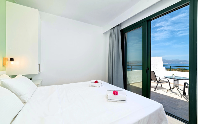 Anemone Seaside Traditional Homes