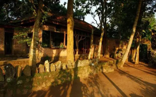 Eloprogo Art House