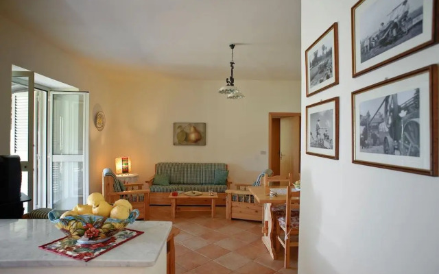 La Collina degli Ulivi