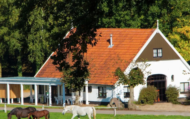 Chalet in Ootmarsum on Kuiperberg
