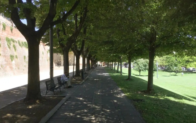 Monolocale in villa, a 300 metri dal centro