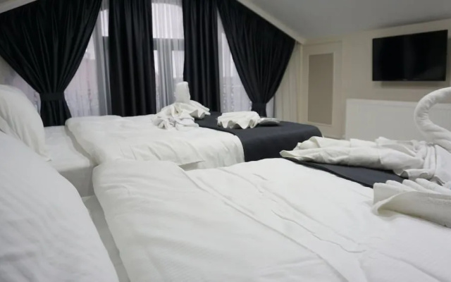 Mana Airport Hotel