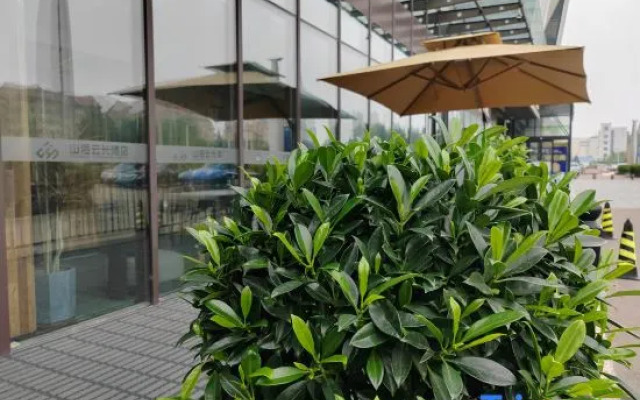Rongcheng Shanhai Yunguang Hotel (Sports Center Sakura Lake Branch)