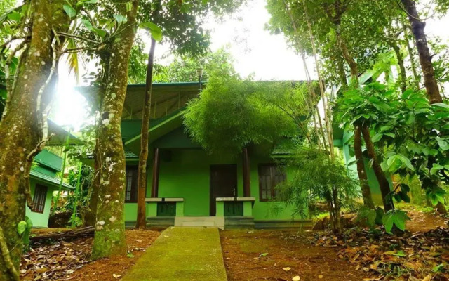 Shibi's Tea Garden Heritage