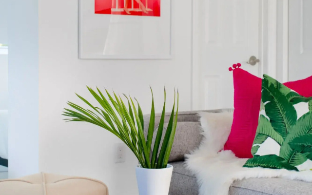 Airy Studio in Wynwood by Sonder