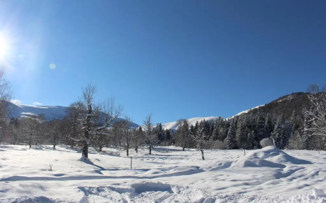 Mountain Villa Didveli