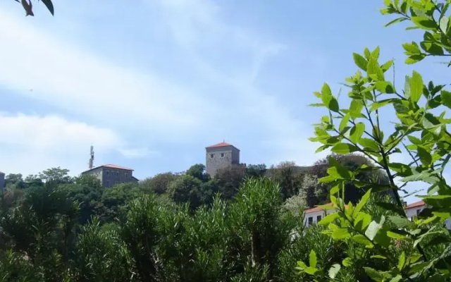 Stevo Guesthouse