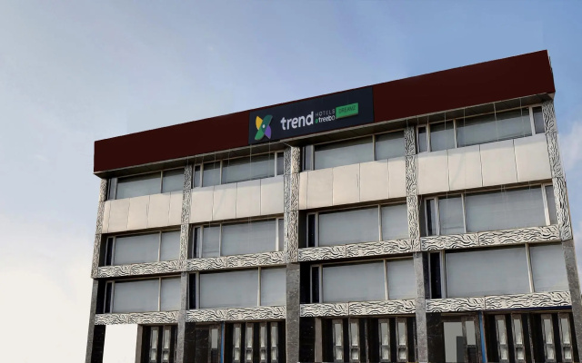 Treebo Trend Dreamz