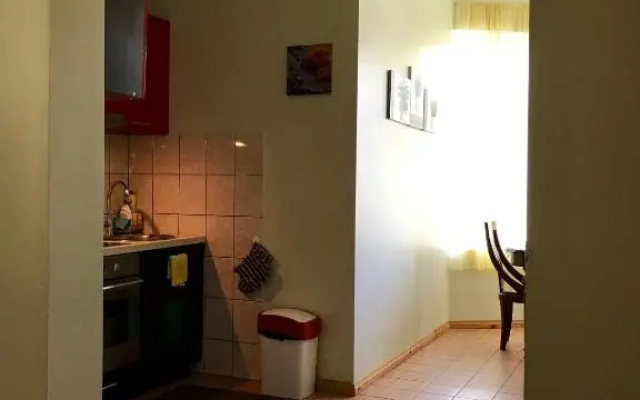 Chelsea Roosi 11 Apartment
