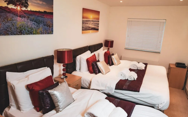 Novelty Suites