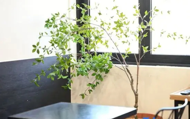 Hotel Stay AYANA Daejeon