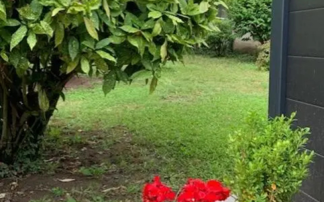 A La Belle Etoile