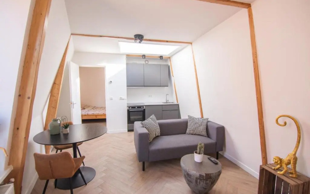 Appartement in binnenstad/centrum van Leeuwarden