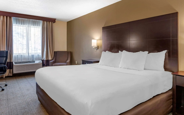Comfort Inn & Suites Paw Paw