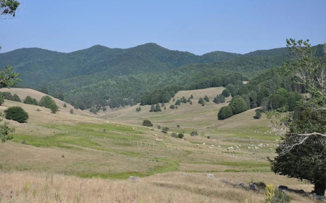 B&B Locanda Pecora Nera