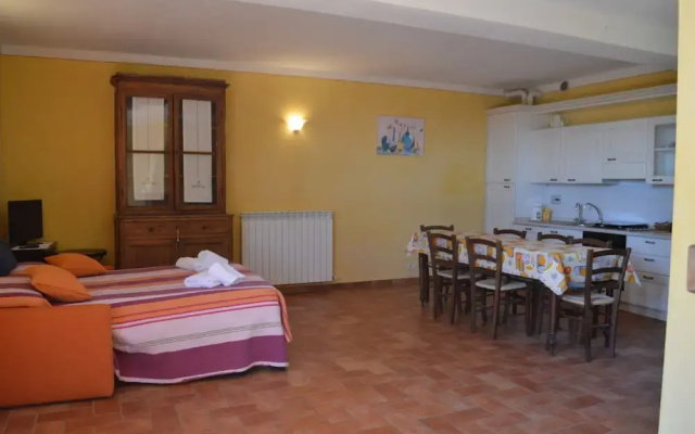 Large Apartment With Shared Swimming Pool in Crete Senesi