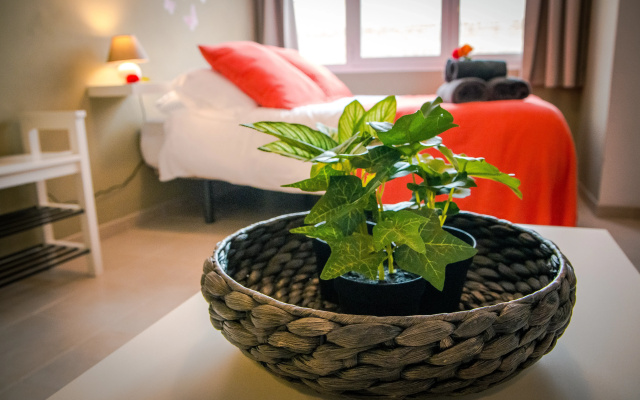 Holidays2Malaga Juan de Mena Apartments