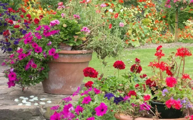 Arts in the Garden