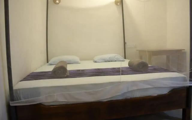 Surf Camp Arugam bay