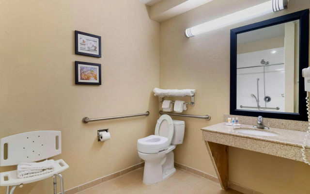 Comfort Inn & Suites Griffin North