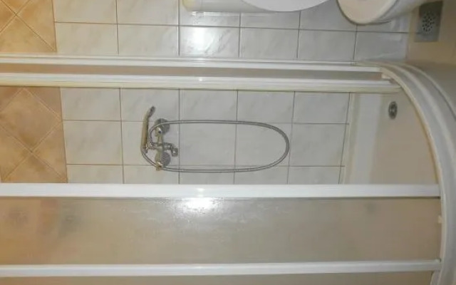 Apartment Viki