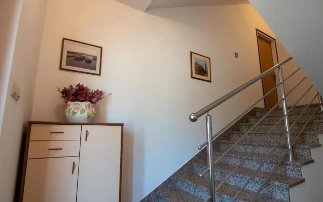 Apartments Đoković