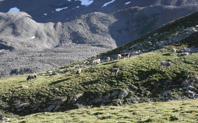 Apart Dorfblick