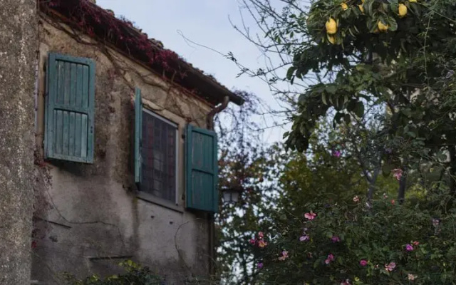 Tenuta Il Verone