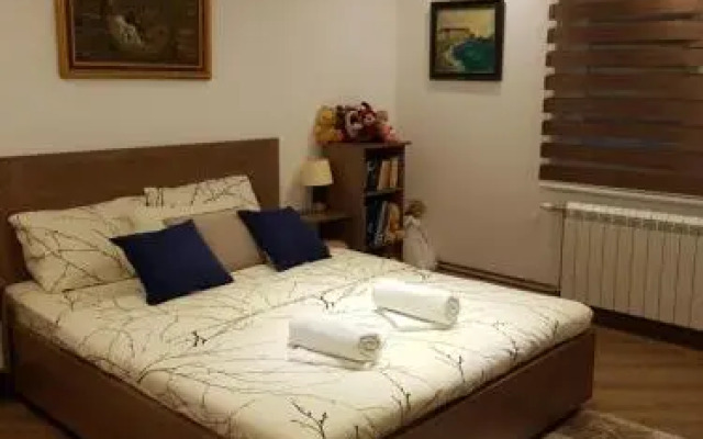 Sasa Plus