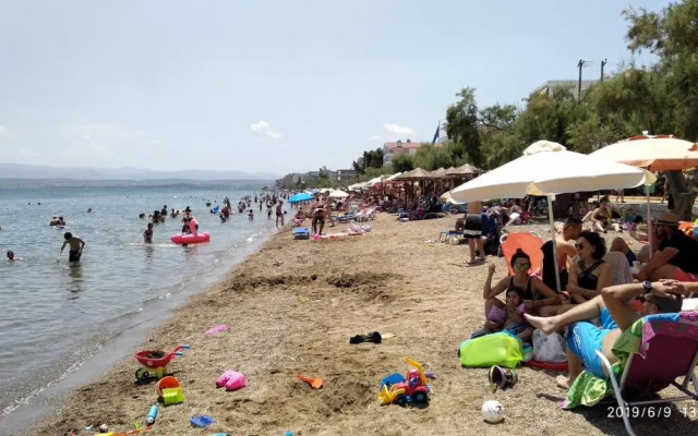 Tibu Apartments & Suites