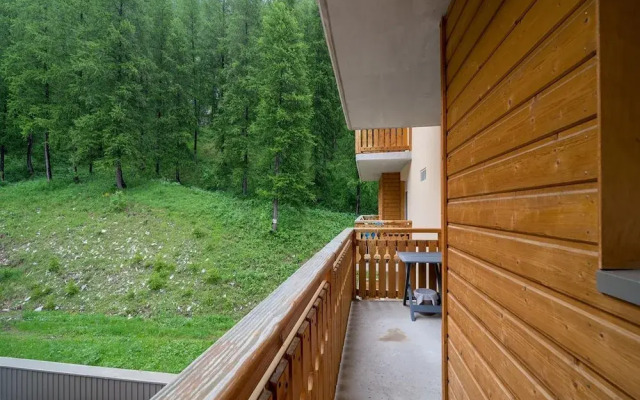 Apartment in France With Ski-in Access