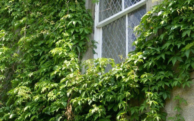 Traquair Arms Hotel