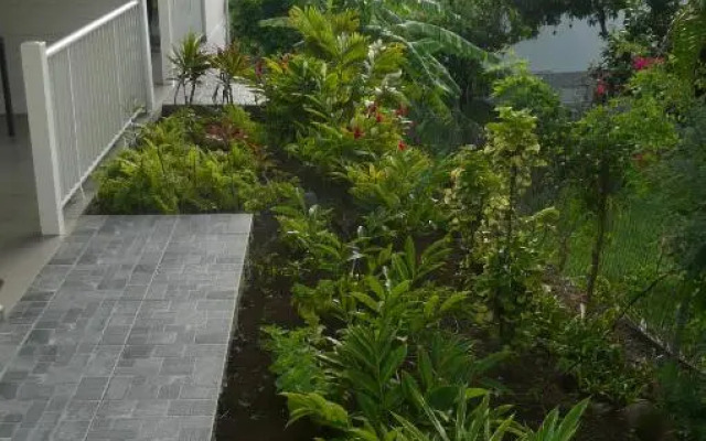 Douceurs Caraïbes, Gîte Papaye.