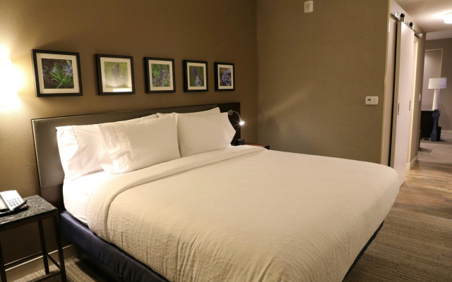 Hilton Garden Inn Austin Airport
