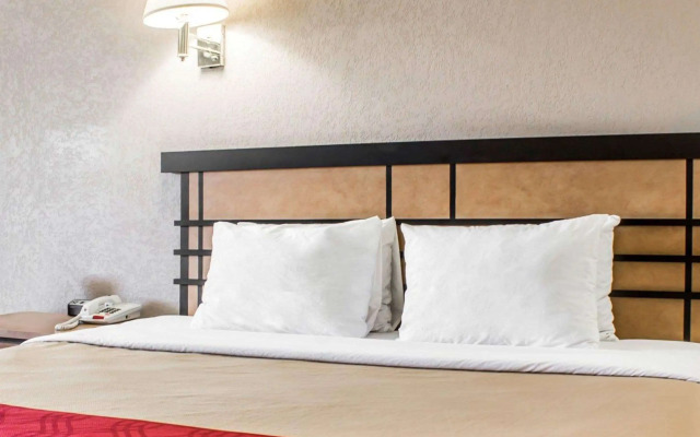 Econo Lodge Inn & Suites Colonie Center Mall