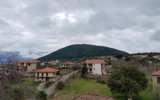 Guesthouse Anatoli Levidi