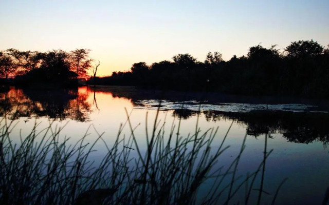 Hippo's Haven