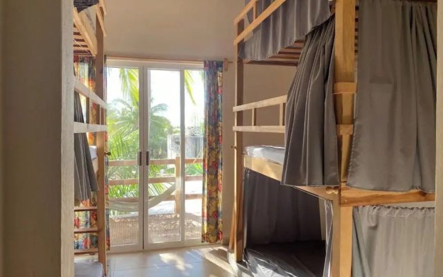 La Palmera Hostel