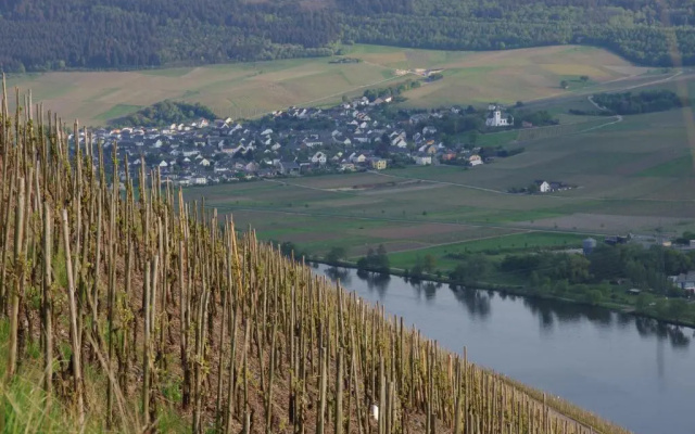 Weingut Weich
