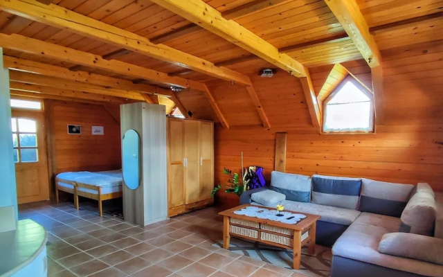 Vineyard cottage Kralj